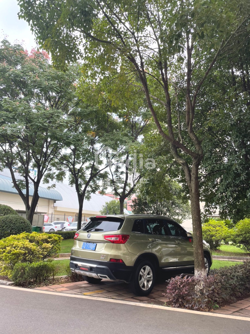 麒麟区北片区精装3室2厅1卫二手房出售11
