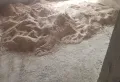 江南丽景朝公园位置好，大户型复式楼已满两年6