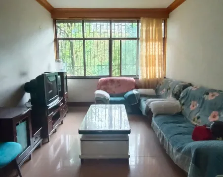 羊煤基地3室2厅1卫普通