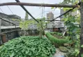 时代广场附近，带楼顶花园，过几天去拍照2