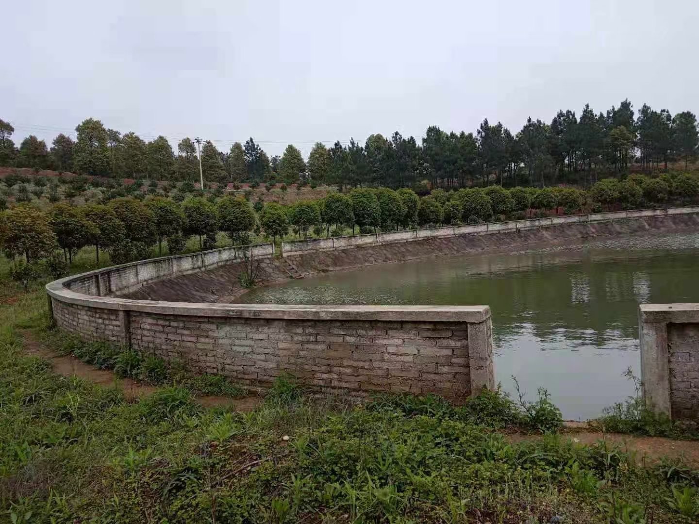 东站小区,青阳农庄，占地300亩，果树1万株已挂果，外加40亩水库8