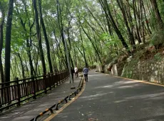 万源市|公园店子坪家属院9室3厅3卫出售|买房租房佣金全返