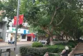 绅园大厦1室1厅1卫1阳台高档家私电，设施完善12
