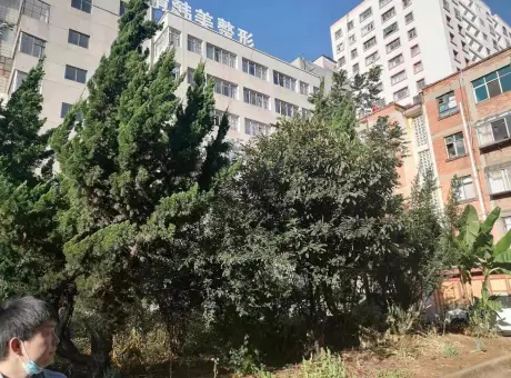农机公司单位房-麒麟区城中麒麟西路389号