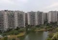 碧桂园精装修好房，电梯中层，证满两年1