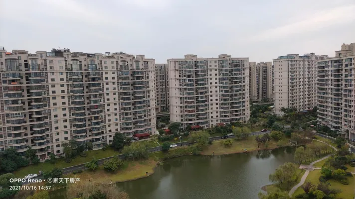 碧桂园精装修好房，电梯中层，证满两年
