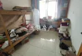 大户型，带一百多个平方的楼顶花园10