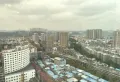 市中心 1958精装一室12