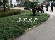 夹江县|和谐3号小区3室2厅1卫出售