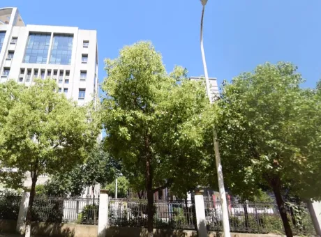海德天物-江夏区其他江夏区阳光一路圣宝龙花园东侧约160米