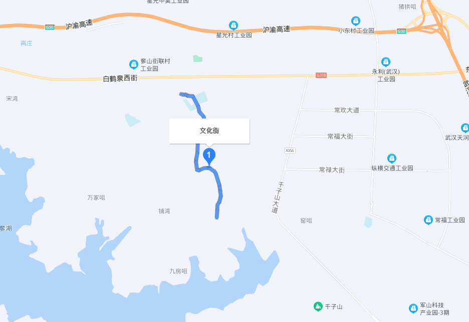 奓山集文化街小区图片