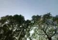 9成新的装修，还做了阁楼，房子成新卖8