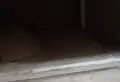 难得一见的毛坯小户型,总价低,朝向好3