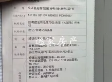 夹江县|望江楼3室2厅2卫出售