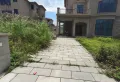 商业街热铺急售，全低层，公交站旁，人流爆满1