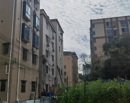 桥背村3室2厅2卫朝南毛坯
