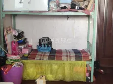平遥县|绿色都城1室1厅1卫出售