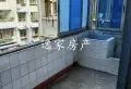 房子是和平桥6号.安尔碘12