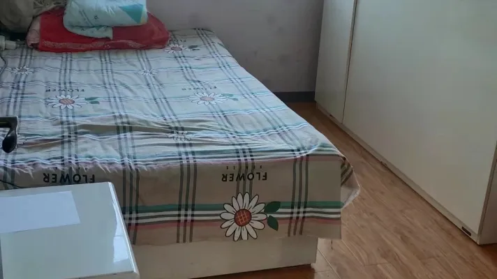 老本，，南北通，十六中落户