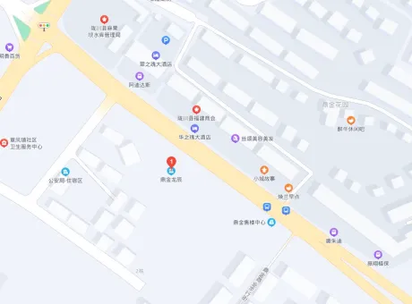 鼎金龙辰-陇川县城中同心路上段公安局斜对面正南方向110米