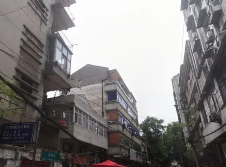 兴才路-江夏区其他兴才路