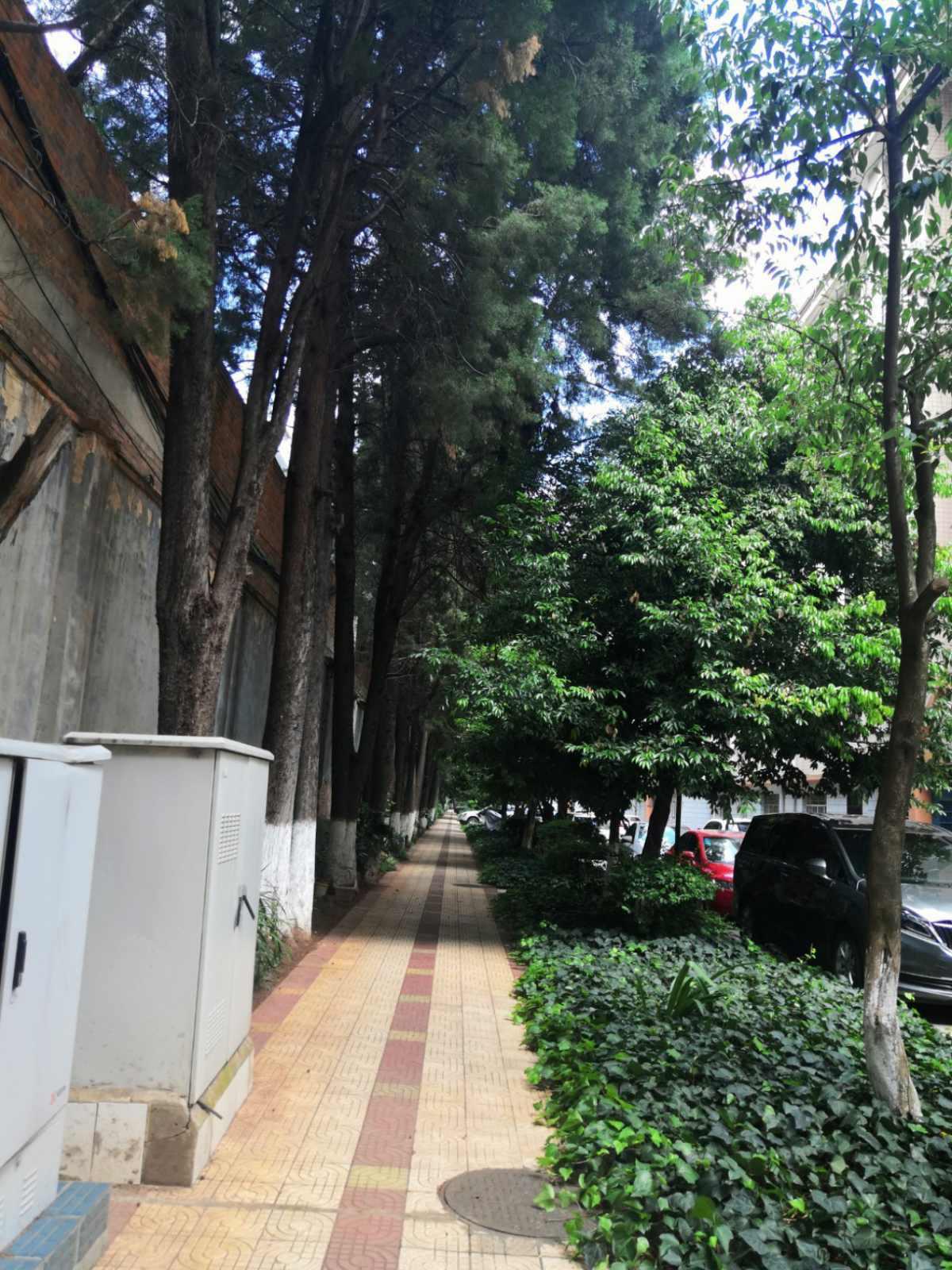 麒麟区东片区普通3室2厅2卫二手房出售16