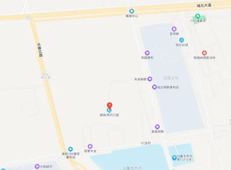 绿城明月兰庭-新市区长春北路长春北路