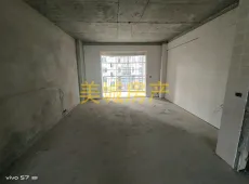广水市|中懋和府4室2厅2卫出售