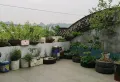 大自然水村大户型精装五室两厅两卫11