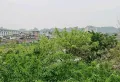 大自然水村大户型精装五室两厅两卫16