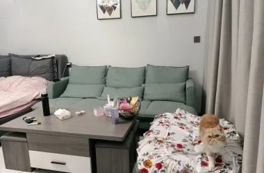 临港中央出售房源