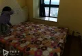精装两室出租  临育才小学  近车站5