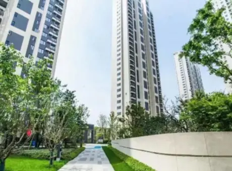 万科保利联投理想星光-江夏区其他豹子山街与山湖大道交叉口西北角