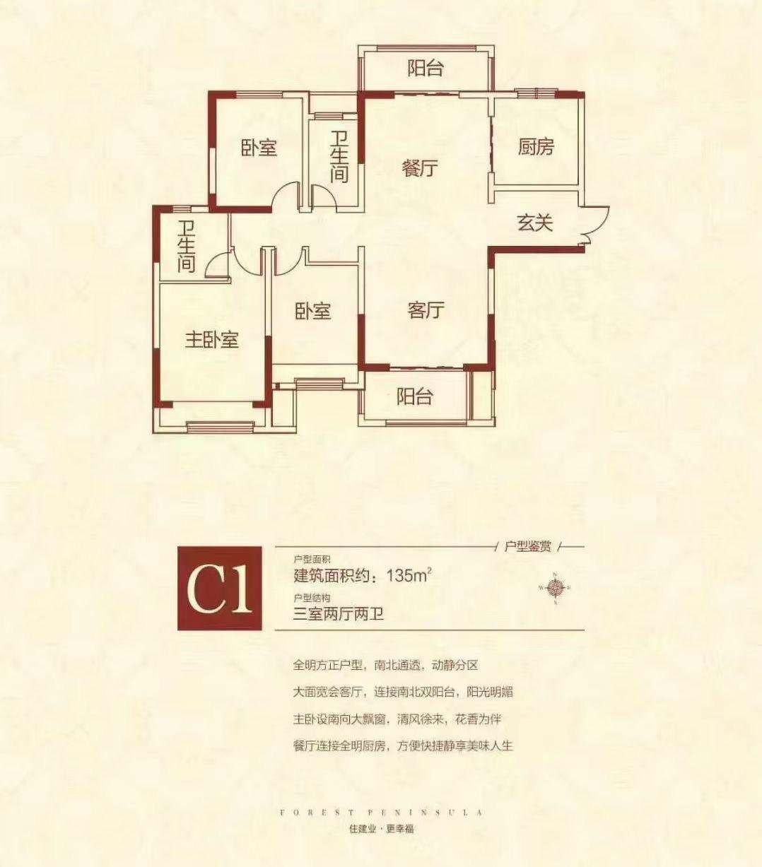 建业森林半岛二期三房两厅两卫南北双阳台-建业森林半岛二期二手房价