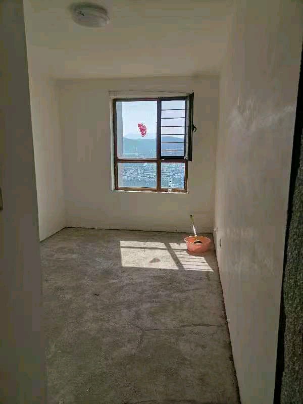 盛世凯厦,电梯凤凰层非顶，南北通透毛坯房4