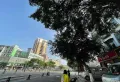 五十米大街正街上，大门面急售3