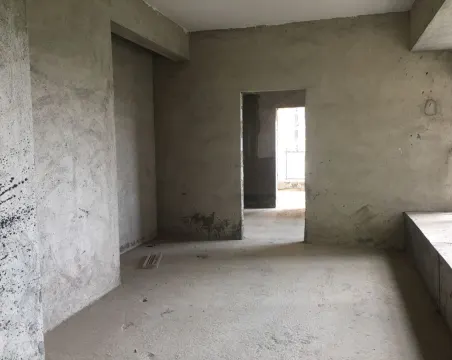 壹江南4室2厅3卫朝南毛坯