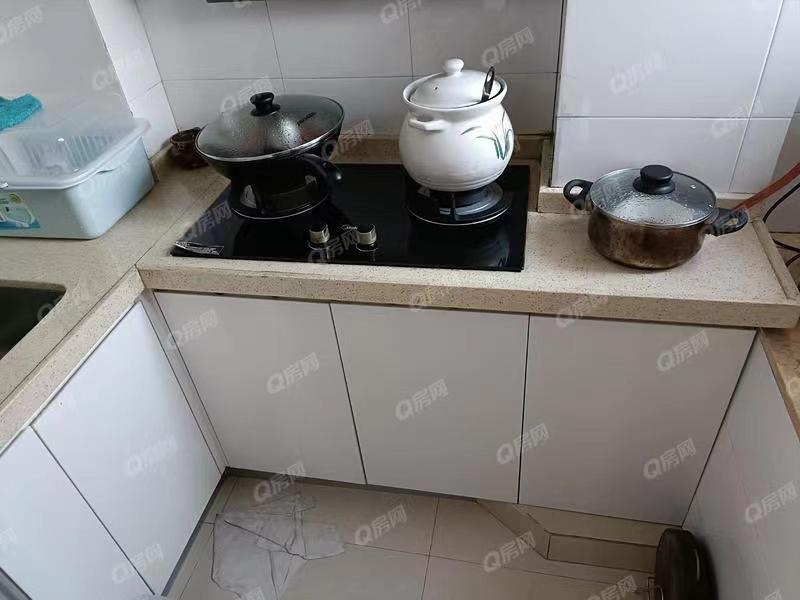 湖馨苑,近洪湖公园，上下2层，精装出租4