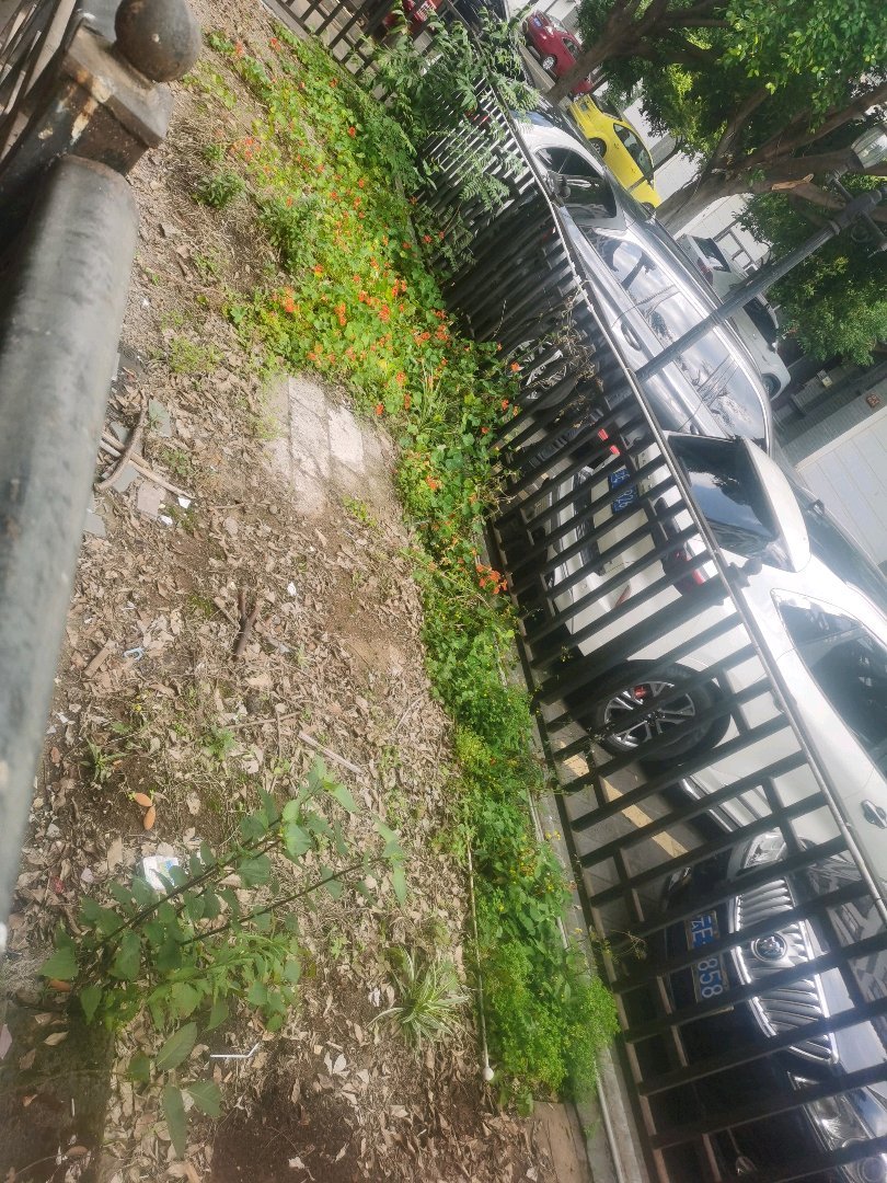 阳光闲庭,阳光闲庭公园试一楼带花园大平层，小区环境优美生活方便 位置好10