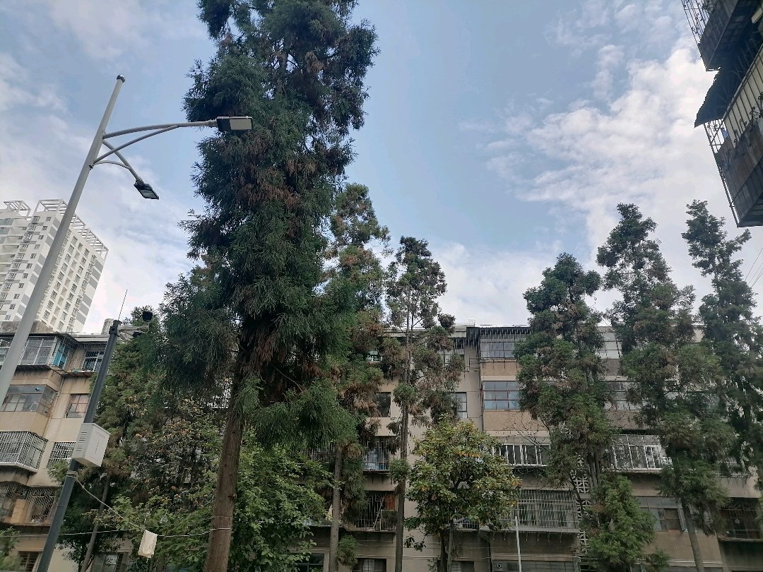 麒麟区城中普通3室1厅1卫二手房出售20