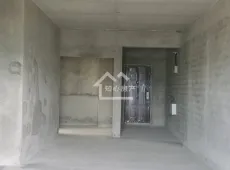 高县|中央公馆3室2厅2卫出售
