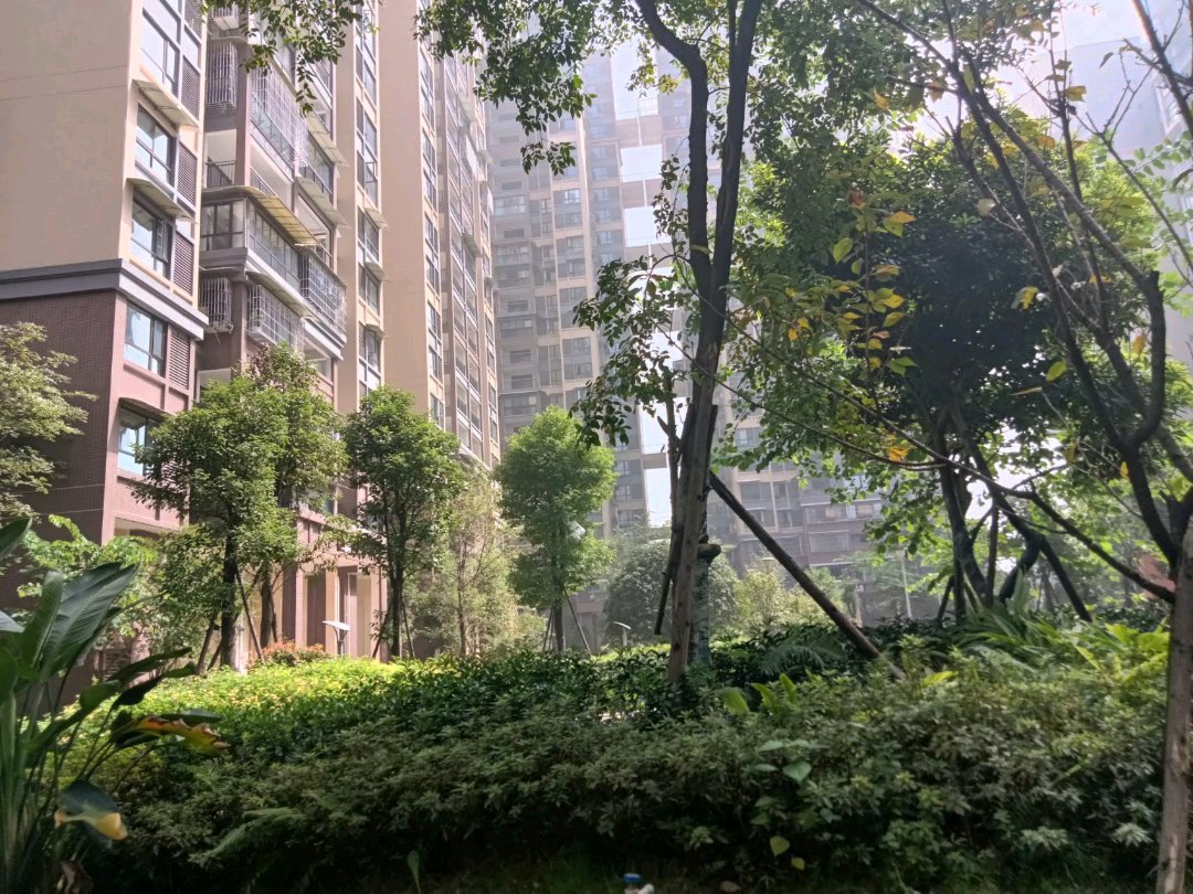 西湖香榭国际,香榭国际 清水大三室带地下停车场 绿化好 品质小区 带大平台12