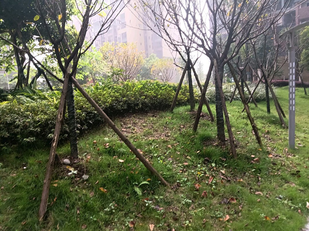 西湖香榭国际,香榭国际 清水大三室带地下停车场 绿化好 品质小区 带大平台13