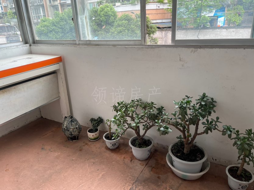 北渡小区,桐梓学校旁 价优房好 楼层好9