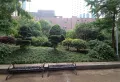 装修两室 家具家电齐全 拎包入住 预约看房14