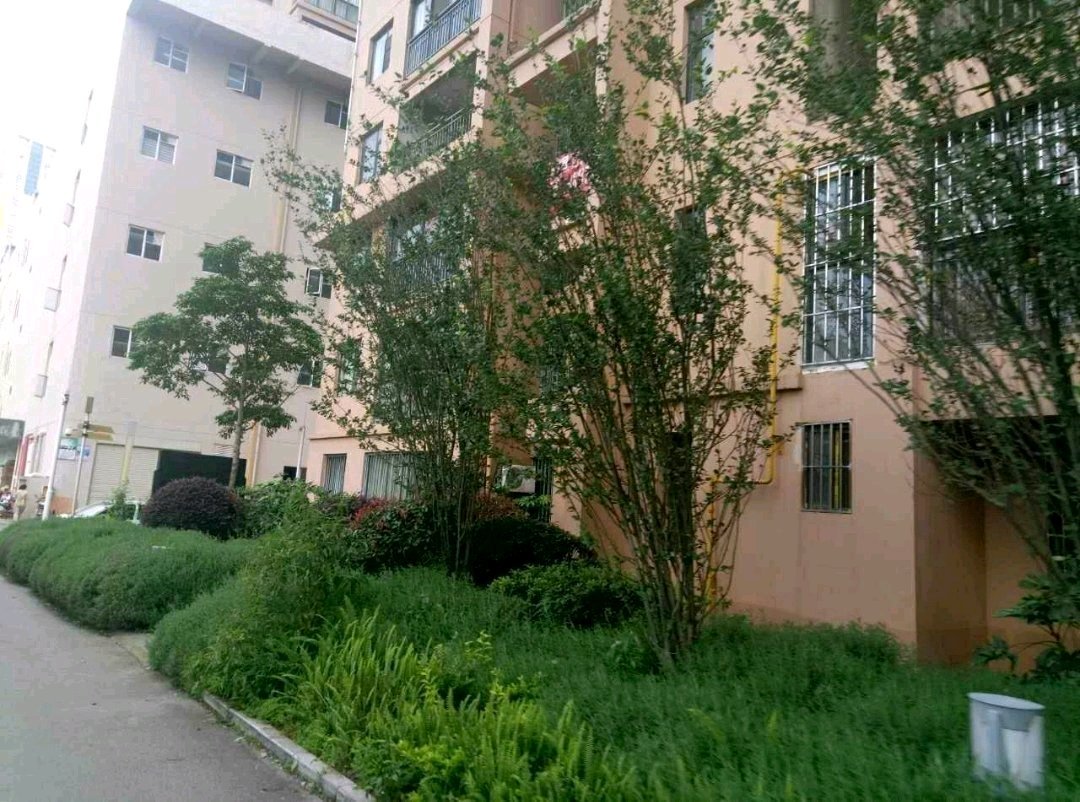 市中心精装三房 高性价诚心出售-书苑彼岸二手房价