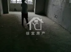 东明县|龙脉御府3室2厅2卫出售