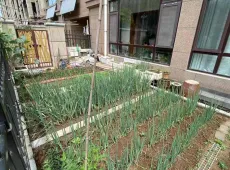 龙口市|锦里七号2区1室1厅1卫出售|买房租房佣金全返