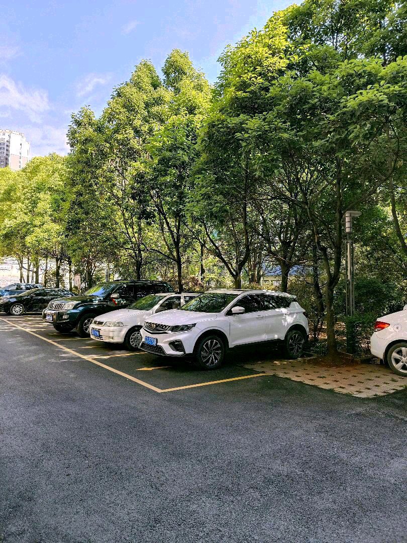 麒麟区城中普通3室2厅1卫二手房出售19