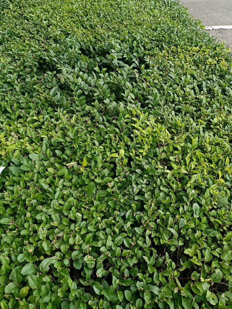 麒麟区东片区毛坯3室2厅1卫二手房出售13